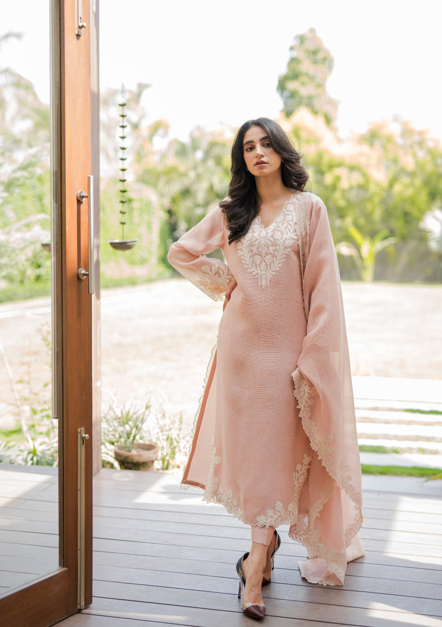 Organza Suit Adorned with Exquisite Thread Embroidery